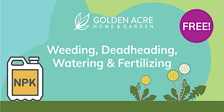 Garden Maintenance | Weeding, Deadheading, Watering, Fertilizing primary image