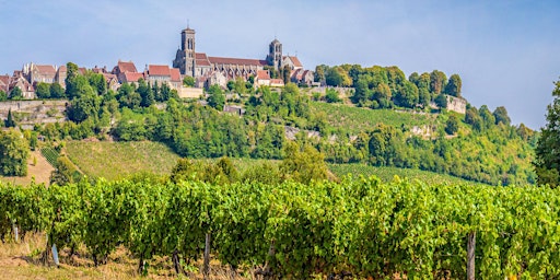 Wine Tour of France
