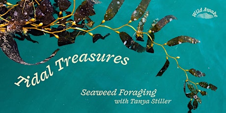 Tidal Treasures | Intro to Ethical Seaweed Foraging (SF)
