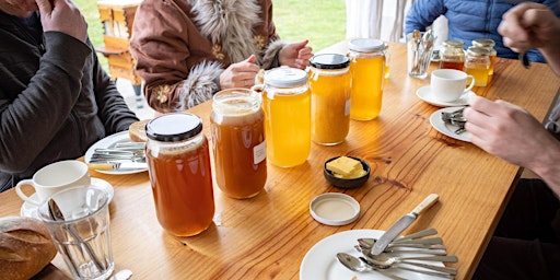 Honey Farm Tour and Tasting primary image