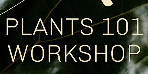 Plant 101 Workshop