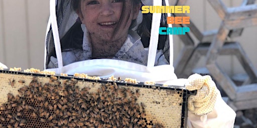 Summer Bee Camp primary image