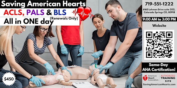 AHA ACLS/PALS/BLS Renewal All In One Day.