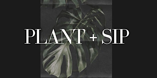 Plant + Sip