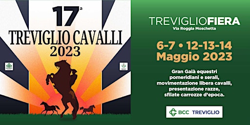 17^ Treviglio Cavalli 2023