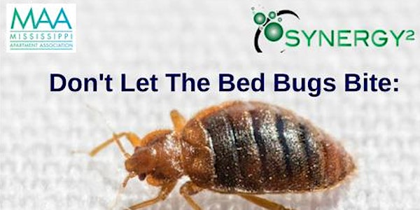 Don't Let The Bed Bugs Bite....Tips For Managing Bed Bug Infestations