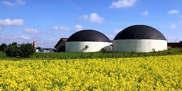 Unlocking the potential of biogas for the energy transition - Final confere...