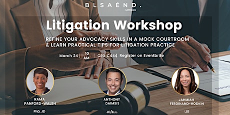 BLSA Litigation  Workshop