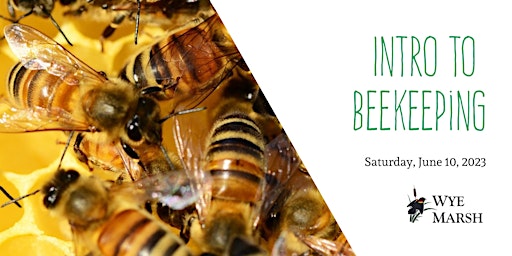 Intro to Beekeeping Workshop