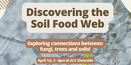 Discovering the Soil Food Web
