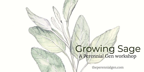 Growing Sage: From Doing to Becoming