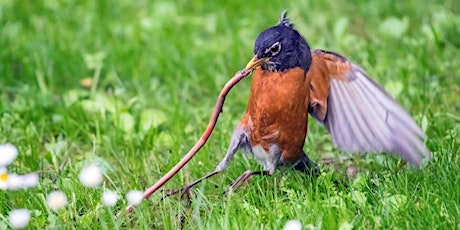 Bird Walk at Riverview Park