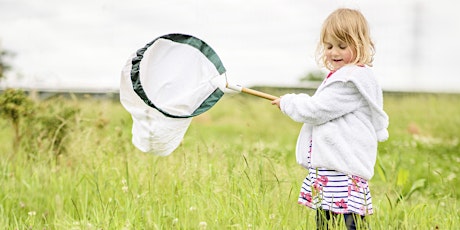 Bug safari: RSPB Bowling Green Marsh nature reserve  primary image