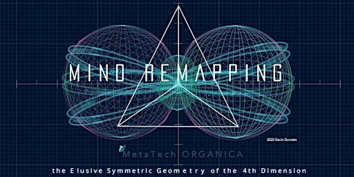 Mind ReMapping - the Elusive 4th Dimension -  Nice