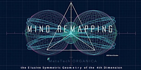 Mind ReMapping - the Elusive 4th Dimension - Frankfurt