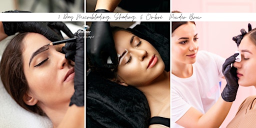 3 Day Microblading, Ombré  Brows, Microshading Hands On Training & Cert primary image
