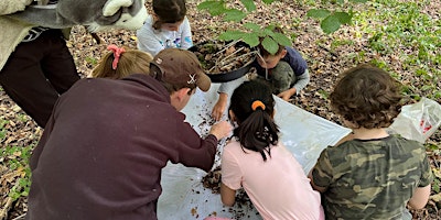 Imagem principal do evento Wytham Wild Day Camp (7-11's) May Half Term 2024