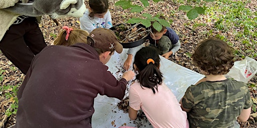 Imagem principal de Wytham Wild Day Camp (7-11's) May Half Term 2024