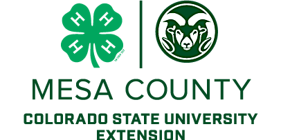 Mesa County 4-H 2024 Animal nomination/Fair Entry registration primary image