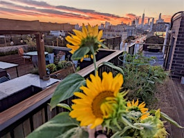 Primaire afbeelding van Rooftop Yoga & Sunset Happy Hour