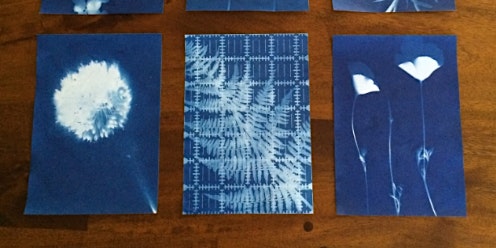 Immagine principale di Brukunga Hall - Cyanotype Sun Printing - School Holiday Program OUTREACH 