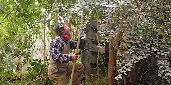 Zen Weeding and the Art of Bushland Regeneration Workshop