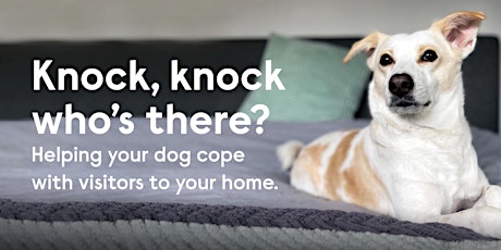 Helping your dog cope with visitors to the home - Live Zoom Event