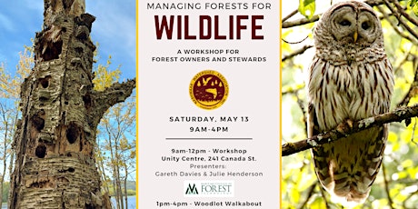 Managing Forests for Wildlife