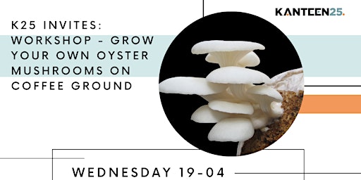 K25 invites: workshop - grow your own oysters mushrooms on coffee ground