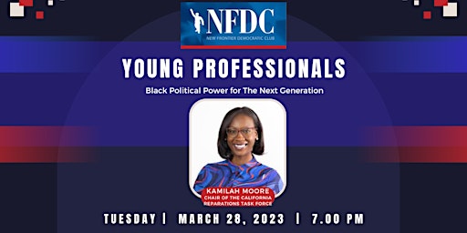 New Frontier Democratic Club Young Professionals Meeting