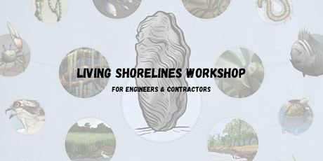 Living Shorelines Workshop for Engineers and Contractors