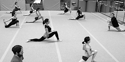 Imagen principal de Adults Gymnastics