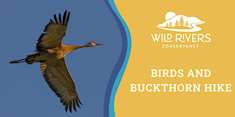 Birds and Buckhorn Hike