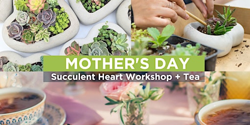 Mother’s Day Succulent Heart Workshop + Tea
