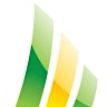 Imagem do perfil do organizador