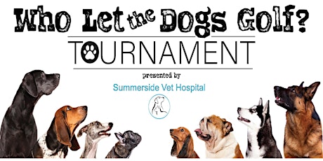 Who Let The Dogs Golf? Tournament supporting Alberta Homeward Hound Rescue