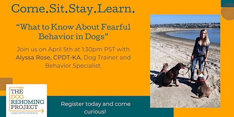 What to Know About Fearful Behavior in Dogs