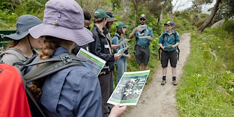 Citizen Science month - toolkit and BioBlitz launch