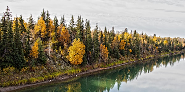 Riparian Health in the NSR Watershed - From Policy to Planting