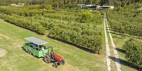 Image principale de Fruit Picking & Tractor Tours - April School Holidays