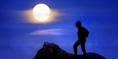 Moonlit Nature Walk with Ken Chaya