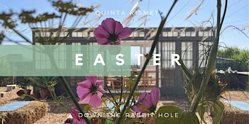 Down The Rabbit Hole!   Kids Easter Event at Quinta Kismet