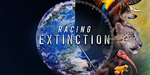 Racing Extinction, How To Connect With And Help The Animal Kingdom