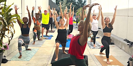 Stress-Less Slow Flow Yoga with Brie Mazin