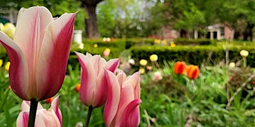 Image principale de Easter Egg Hunt at the Ten Broeck Mansion