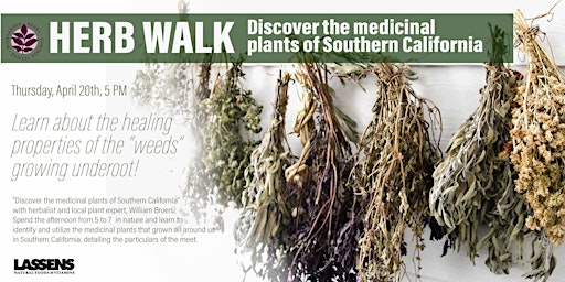 Discover the medicinal plants of Southern California  in Thousand Oaks
