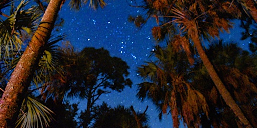 Earth Day After Hours: Sunsets, Stars and South Florida Nighttime Ecology primary image