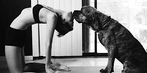 Yoga With Adoptable Puppies - Victoria