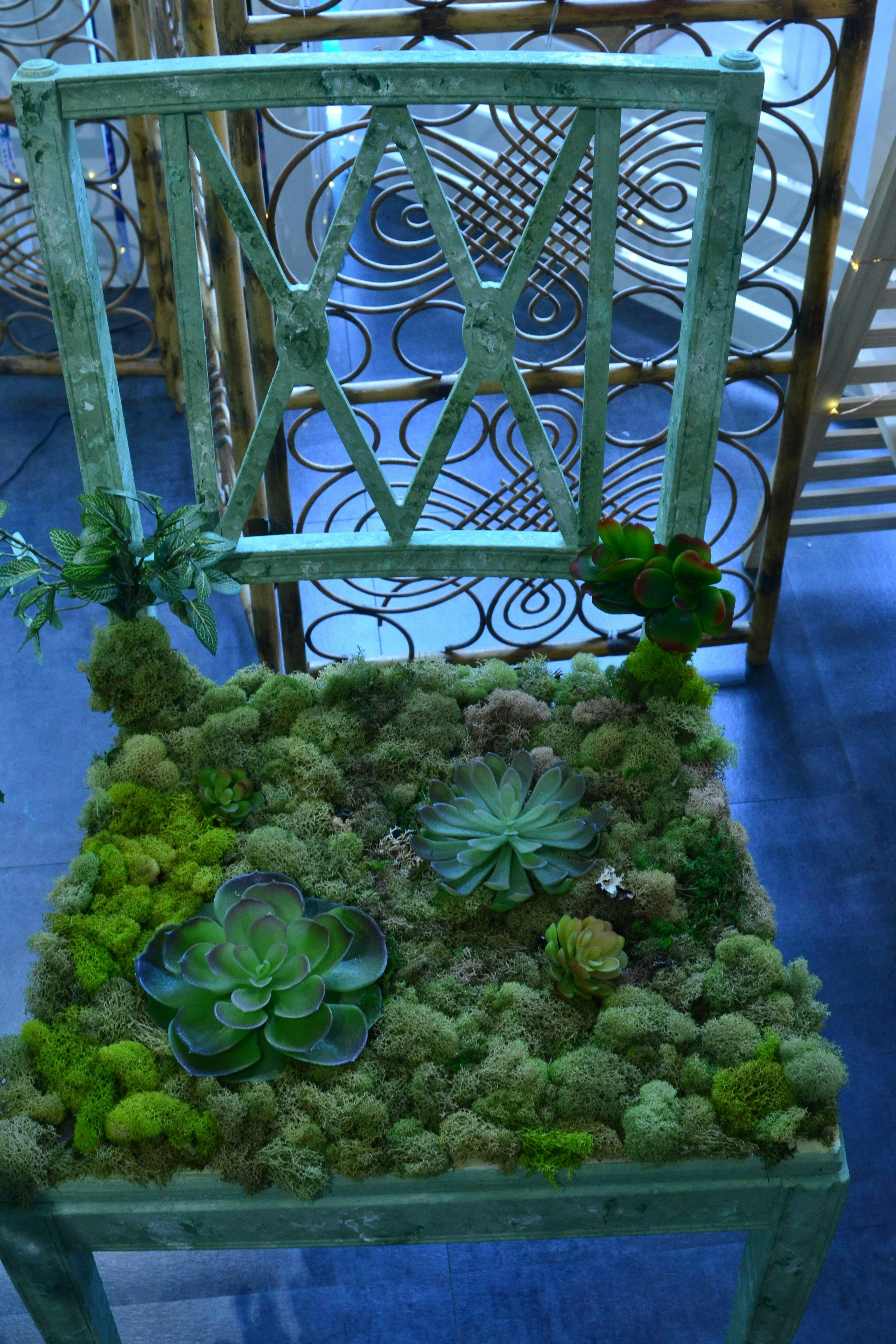 DIY Succulent Keepsake Workshop