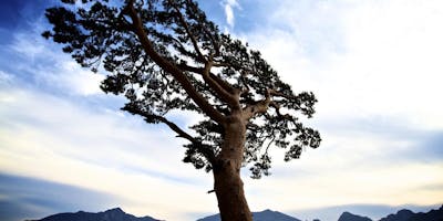 Https%3a%2f%2fcdn.evbuc.com%2fimages%2f47630598%2f126045192063%2f1%2foriginal